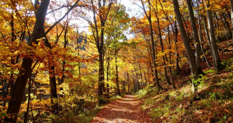 Planifier sa retraite : une démarche à long terme qui commence aujourd’hui